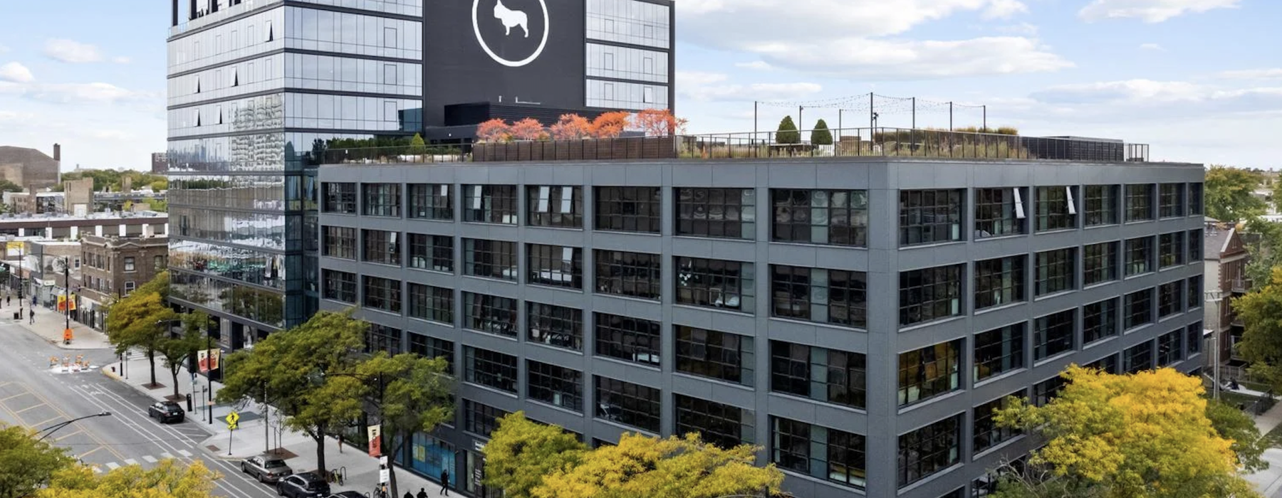 apartments for rent in chicago