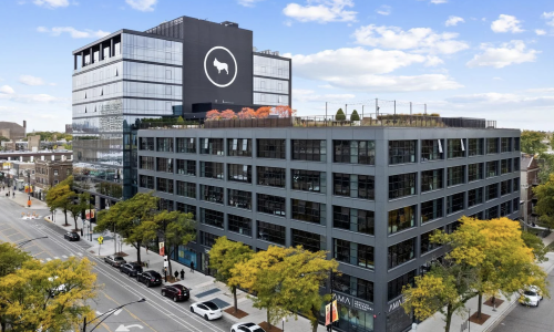 apartments for rent in chicago
