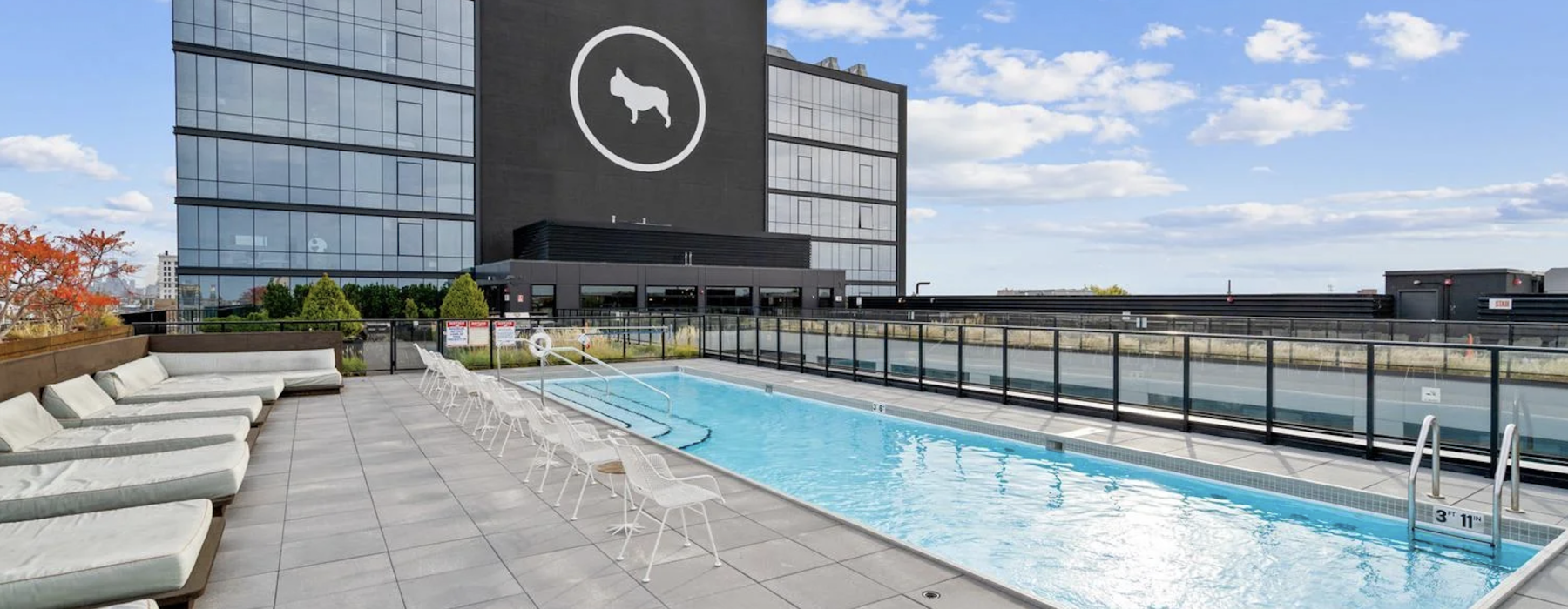 Pet friendly apartments