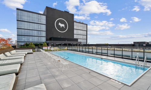 Pet friendly apartments