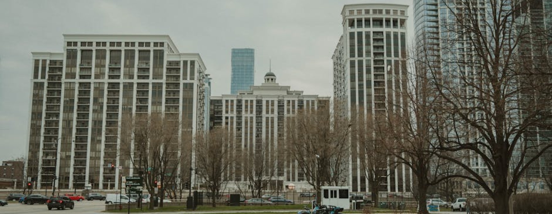 Pet-friendly apartments in Chicago - pet friendly apartments in morgan park chicago