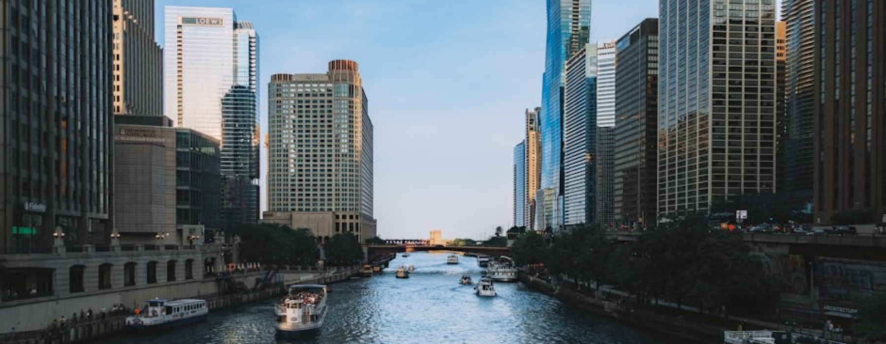 happy dog with Chicago skyline - pet friendly places Chicago