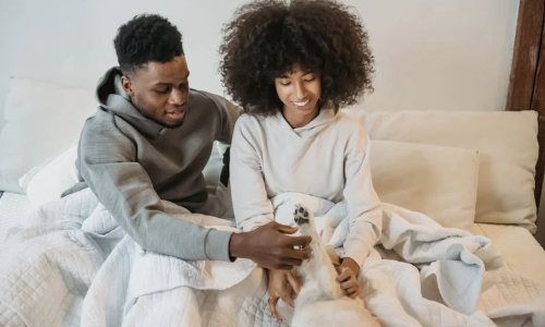 chicago pet friendly apartment rentals - pet friendly apartment rentals chicago chicago pet friendly apartment rentals - pet friendly apartment rentals chicago
