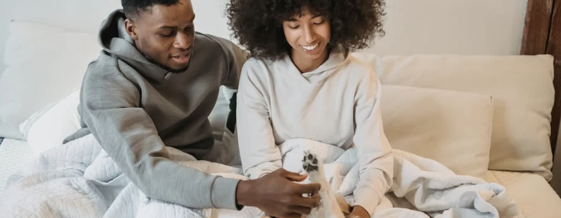 chicago pet friendly apartment rentals - pet friendly apartment rentals chicago