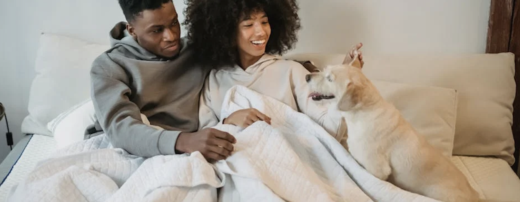 2 bedroom apartments that allow pets - 2 bedroom apartments that allow pets